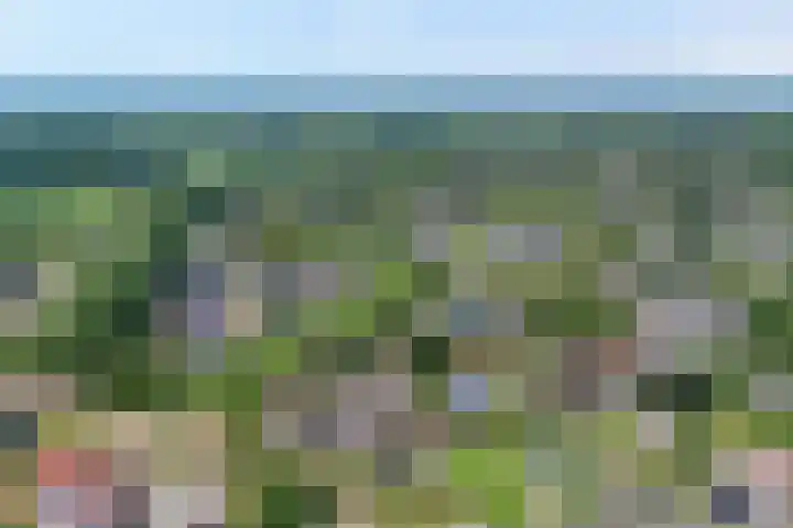 Zetveld 4 Zuidwolde thumbnail 27
