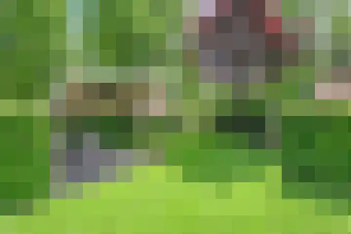 Zetveld 4 Zuidwolde thumbnail 4