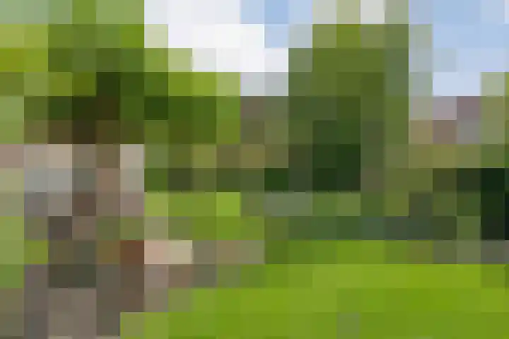 Zetveld 4 Zuidwolde thumbnail 5