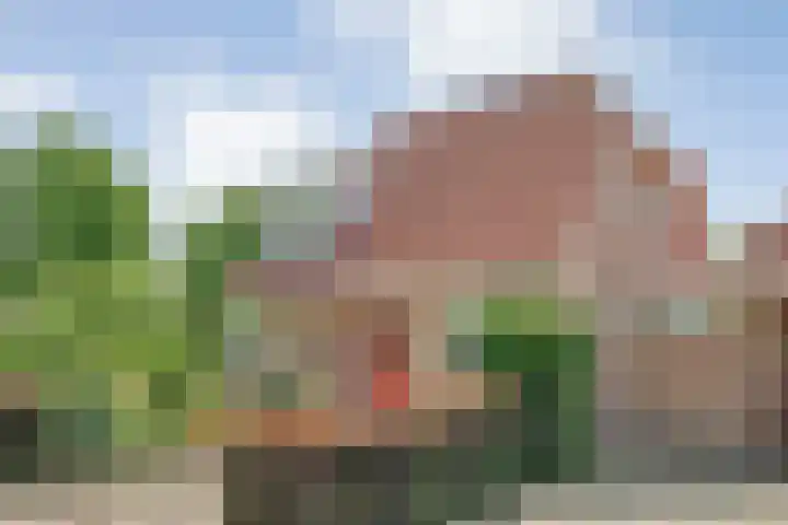 Zetveld 4 Zuidwolde thumbnail 7