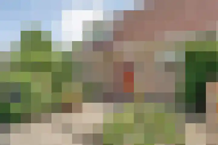 Zetveld 4 Zuidwolde thumbnail 8