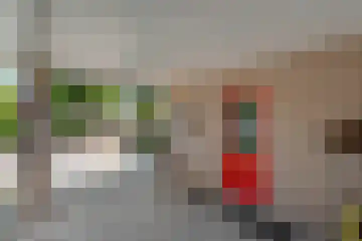 Zetveld 4 Zuidwolde thumbnail 9