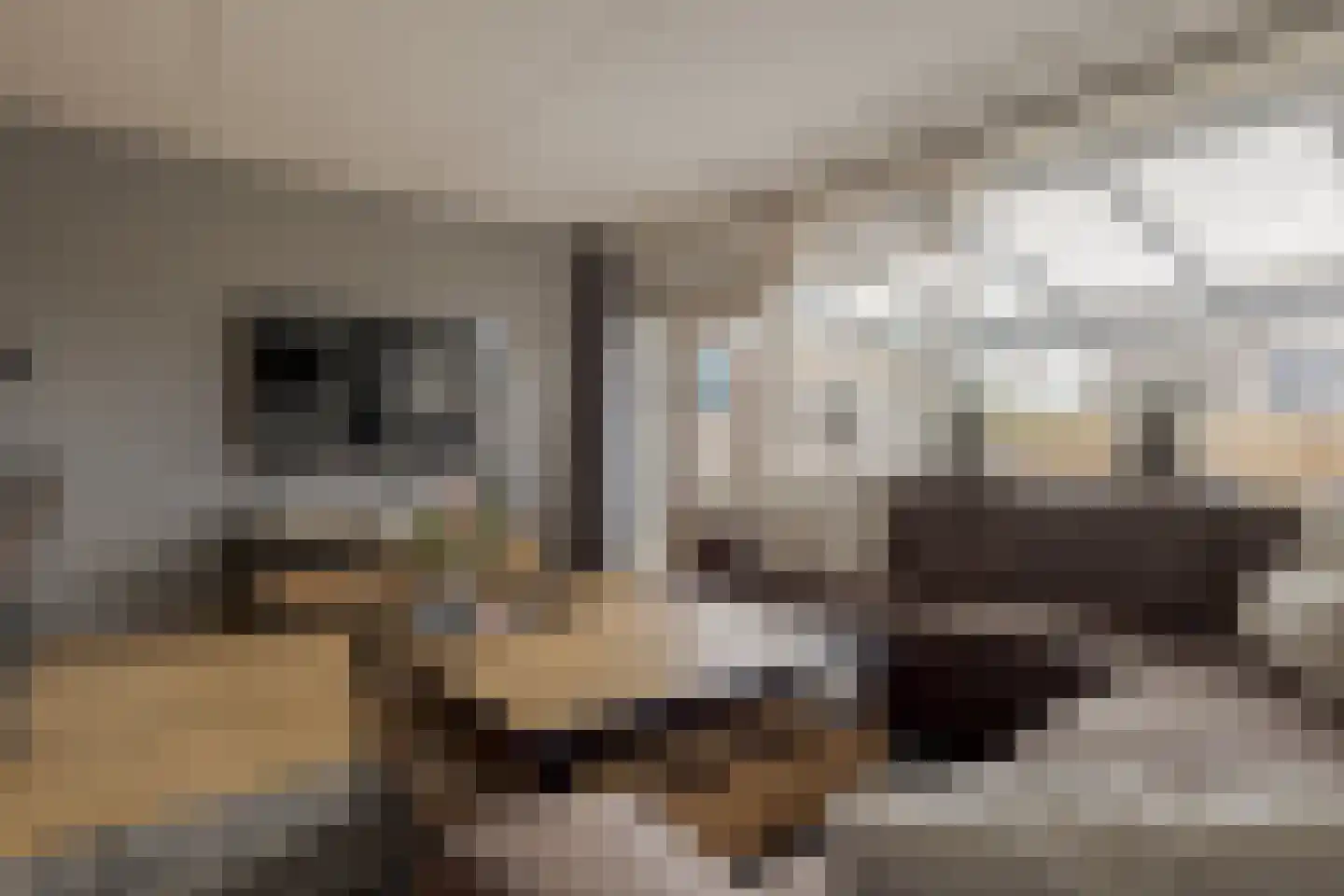 Zetveld 44 Schoonoord thumbnail 17