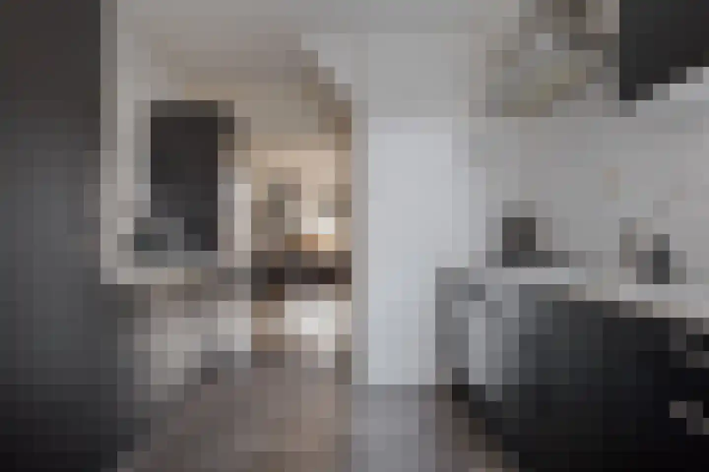 Zetveld 44 Schoonoord thumbnail 21