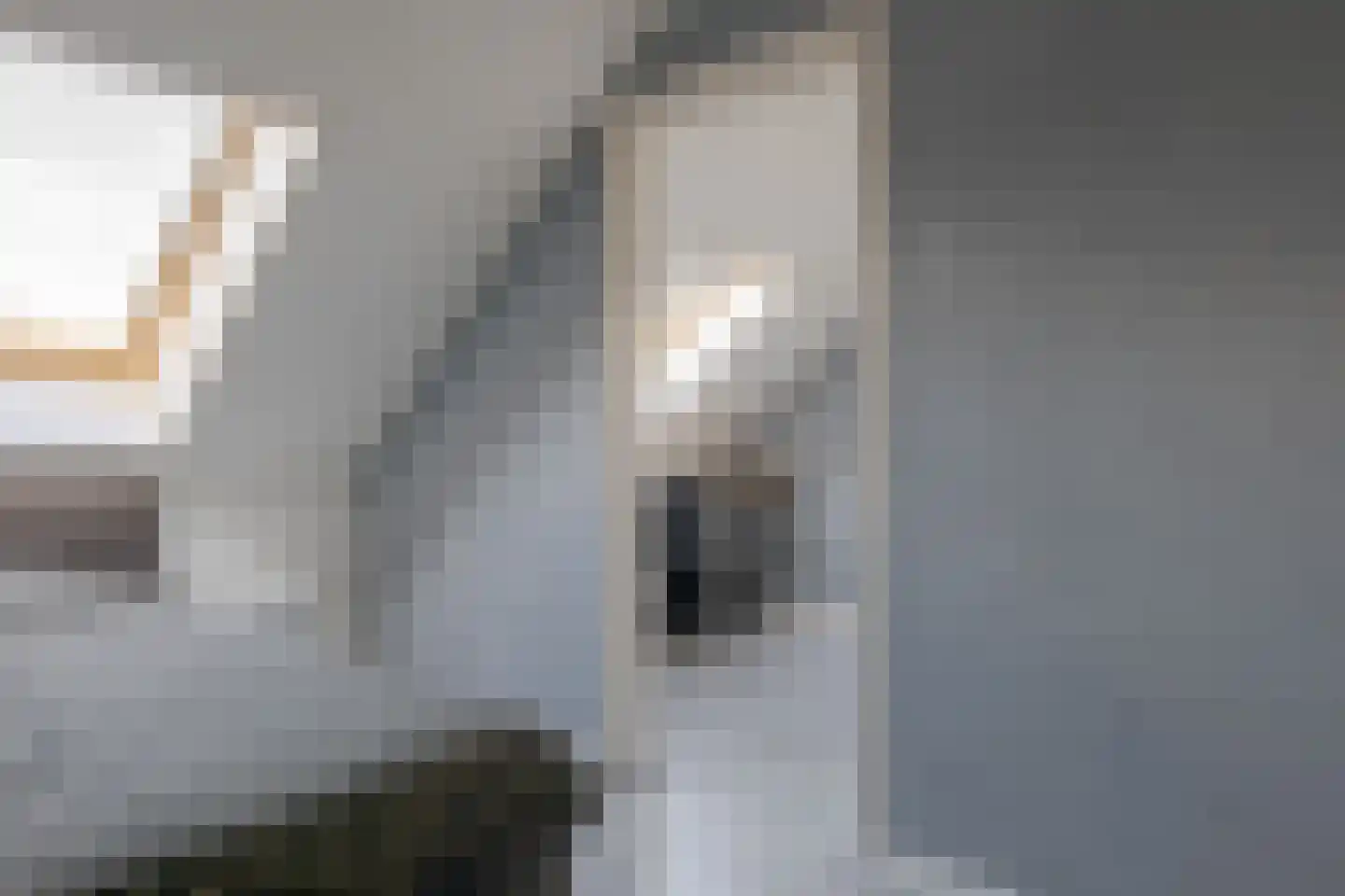 Zetveld 44 Schoonoord thumbnail 39