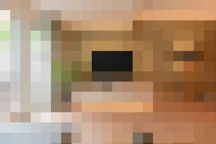 Zetveld 6 Schoonoord thumbnail 14
