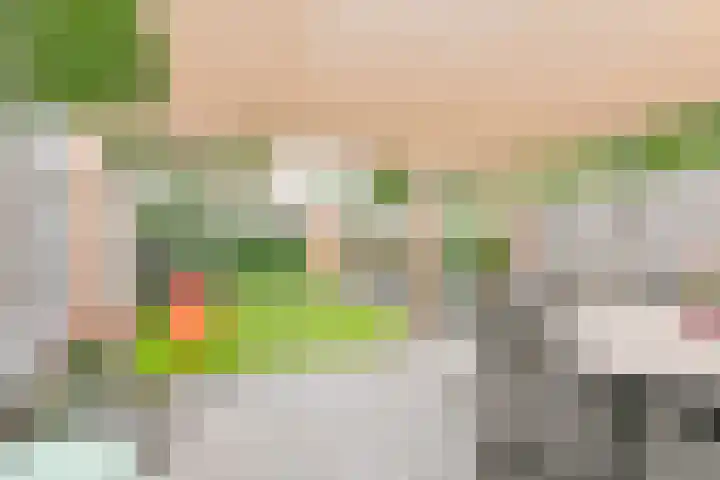 Zetveld 6 Schoonoord thumbnail 55