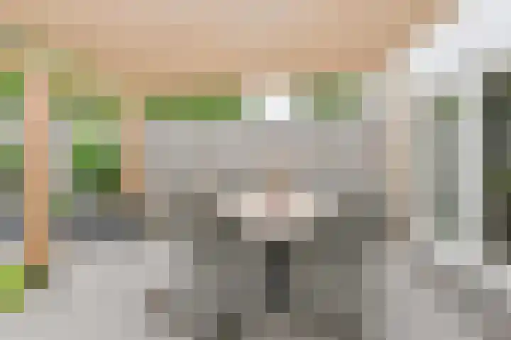 Zetveld 6 Schoonoord thumbnail 56