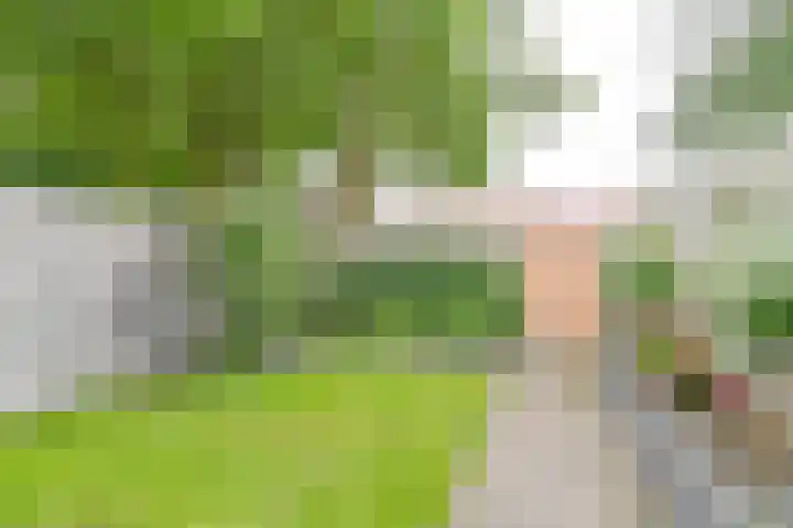 Zetveld 6 Schoonoord thumbnail 57