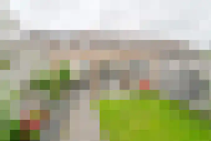 Zetveld 6 Schoonoord thumbnail 58