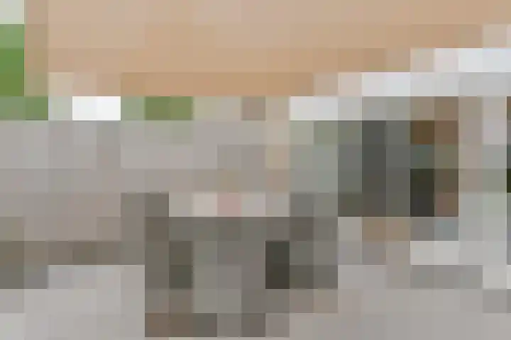Zetveld 6 Schoonoord thumbnail 59