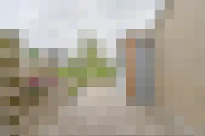 Zetveld 6 Schoonoord thumbnail 61