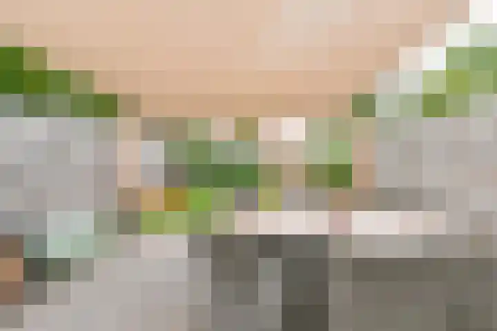 Zetveld 6 Schoonoord thumbnail 62