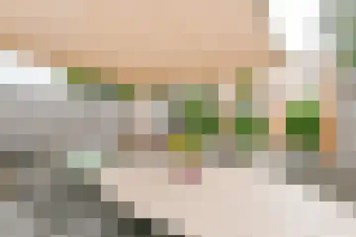 Zetveld 6 Schoonoord thumbnail 63