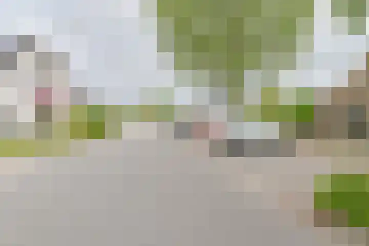 Zetveld 6 Schoonoord thumbnail 64