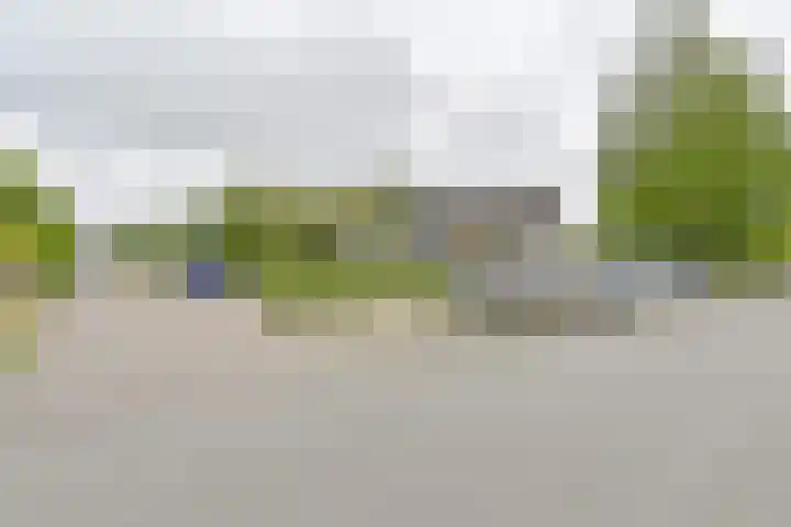 Zetveld 6 Schoonoord thumbnail 65