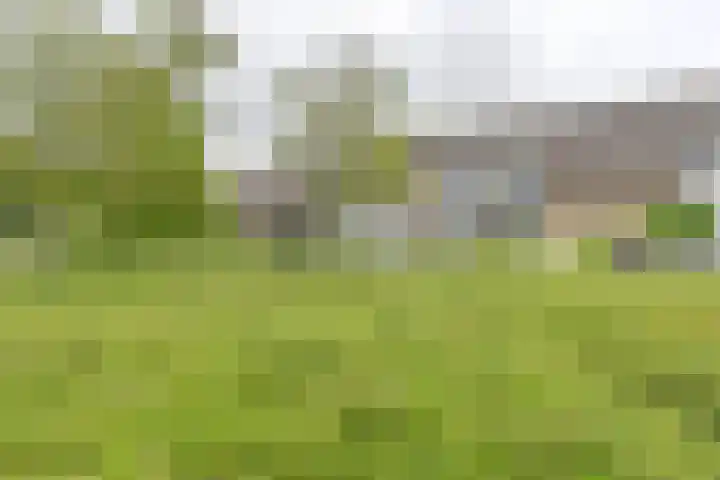Zetveld 6 Schoonoord thumbnail 67