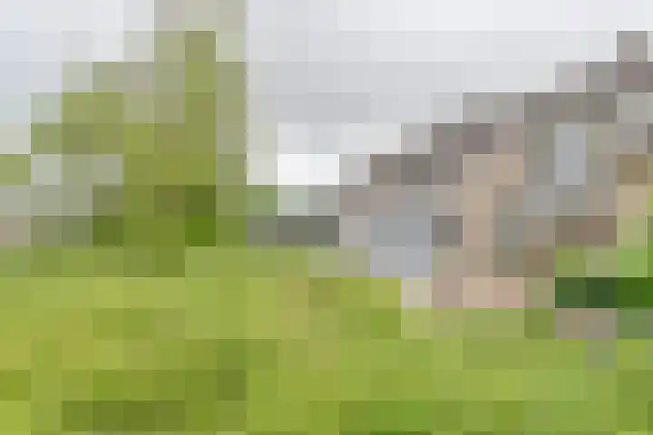 Zetveld 6 Schoonoord thumbnail 68