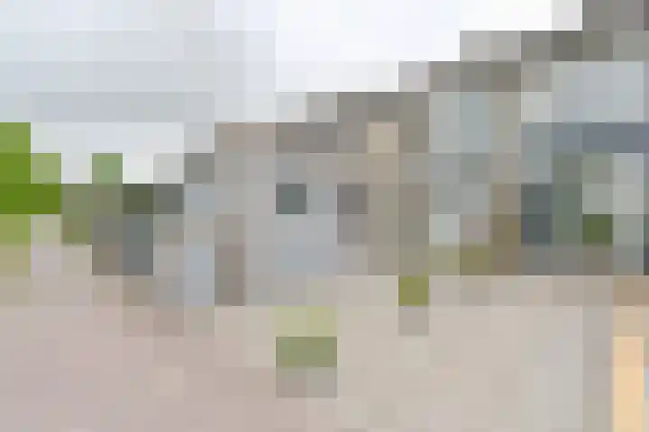 Zetveld 6 Schoonoord thumbnail 69
