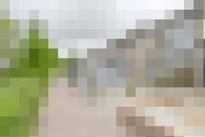 Zetveld 6 Schoonoord thumbnail 70