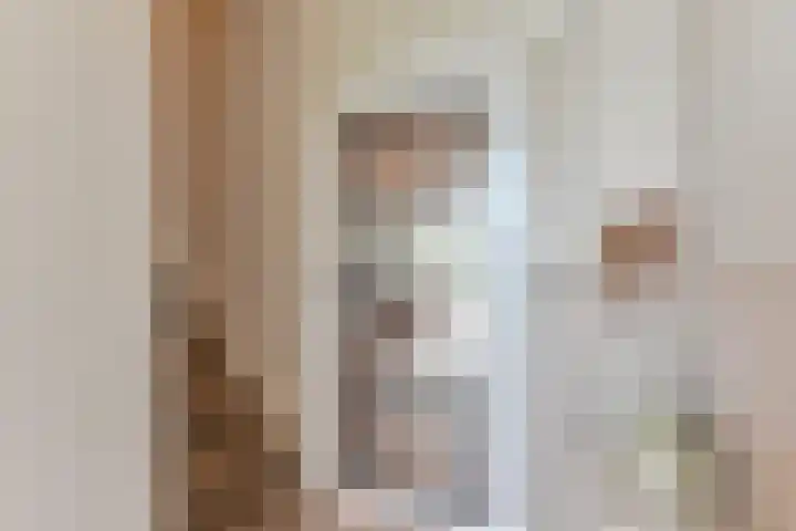 Zetveld 6 Schoonoord thumbnail 8