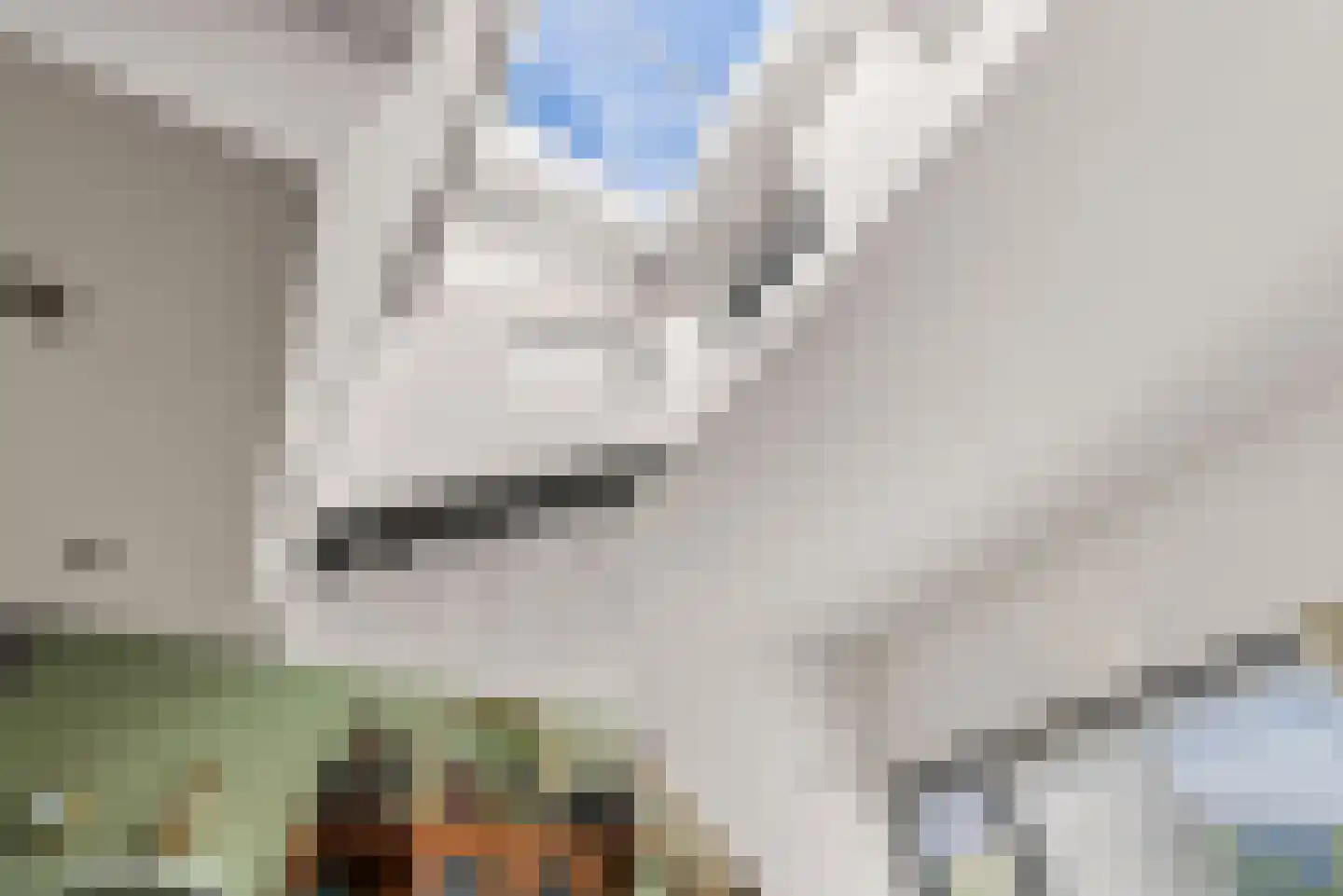Zeussingel 41 Almere thumbnail 34