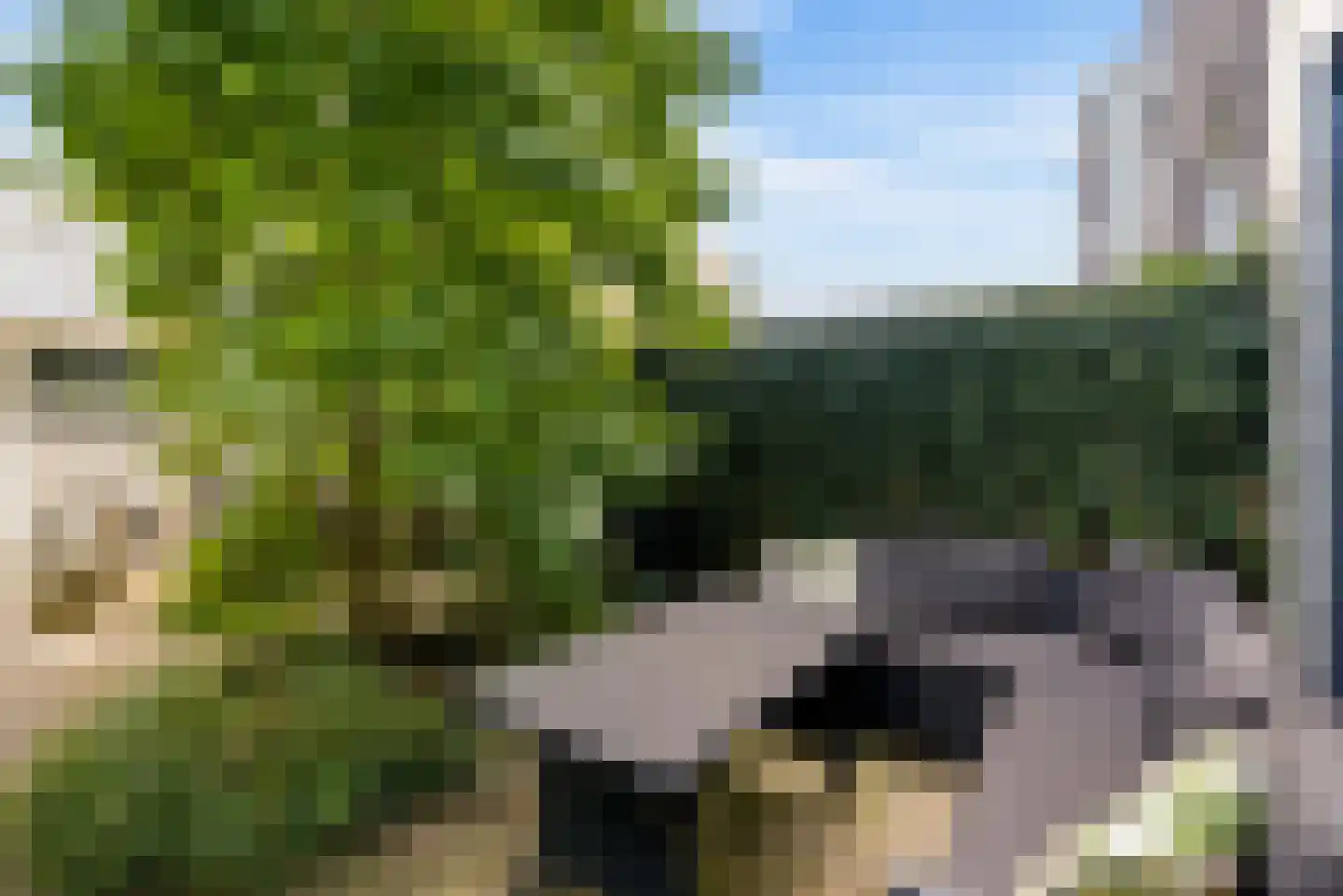 Zeussingel 41 Almere thumbnail 62