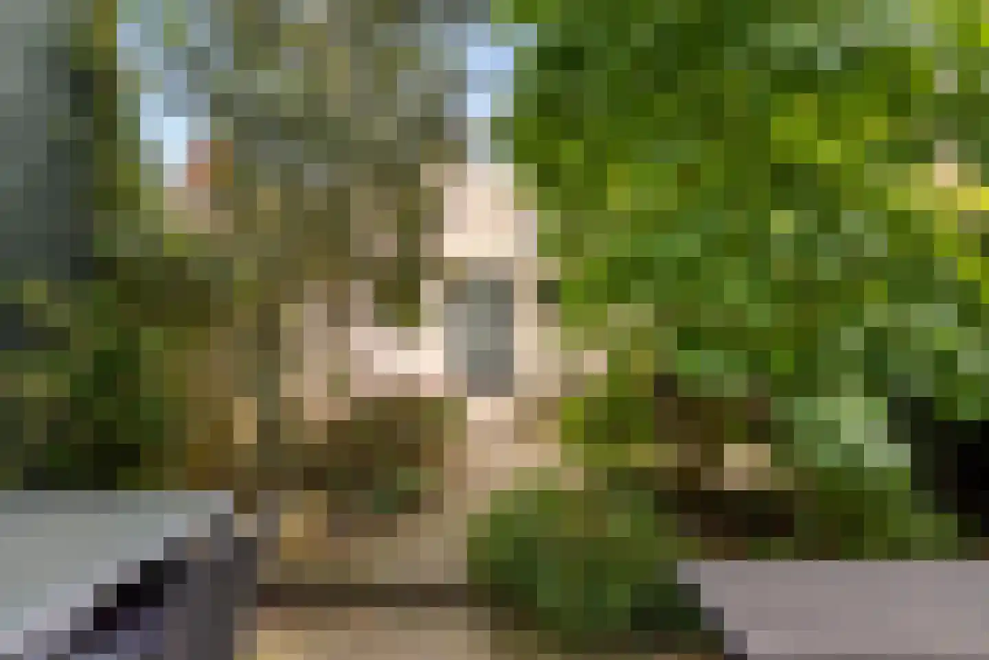 Zeussingel 41 Almere thumbnail 65