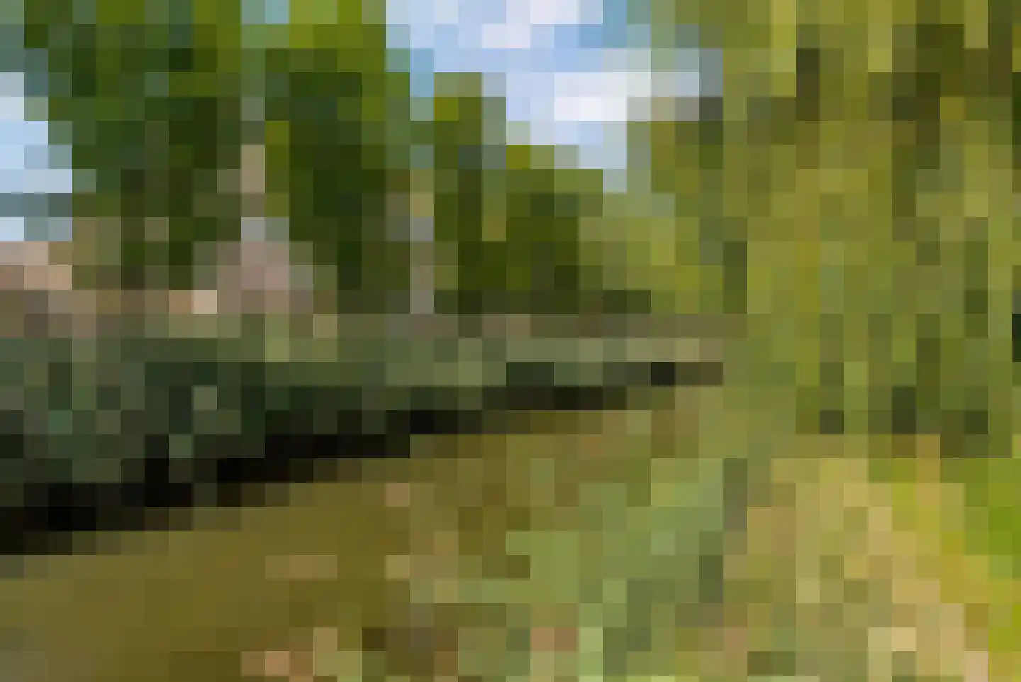 Zeussingel 41 Almere thumbnail 89