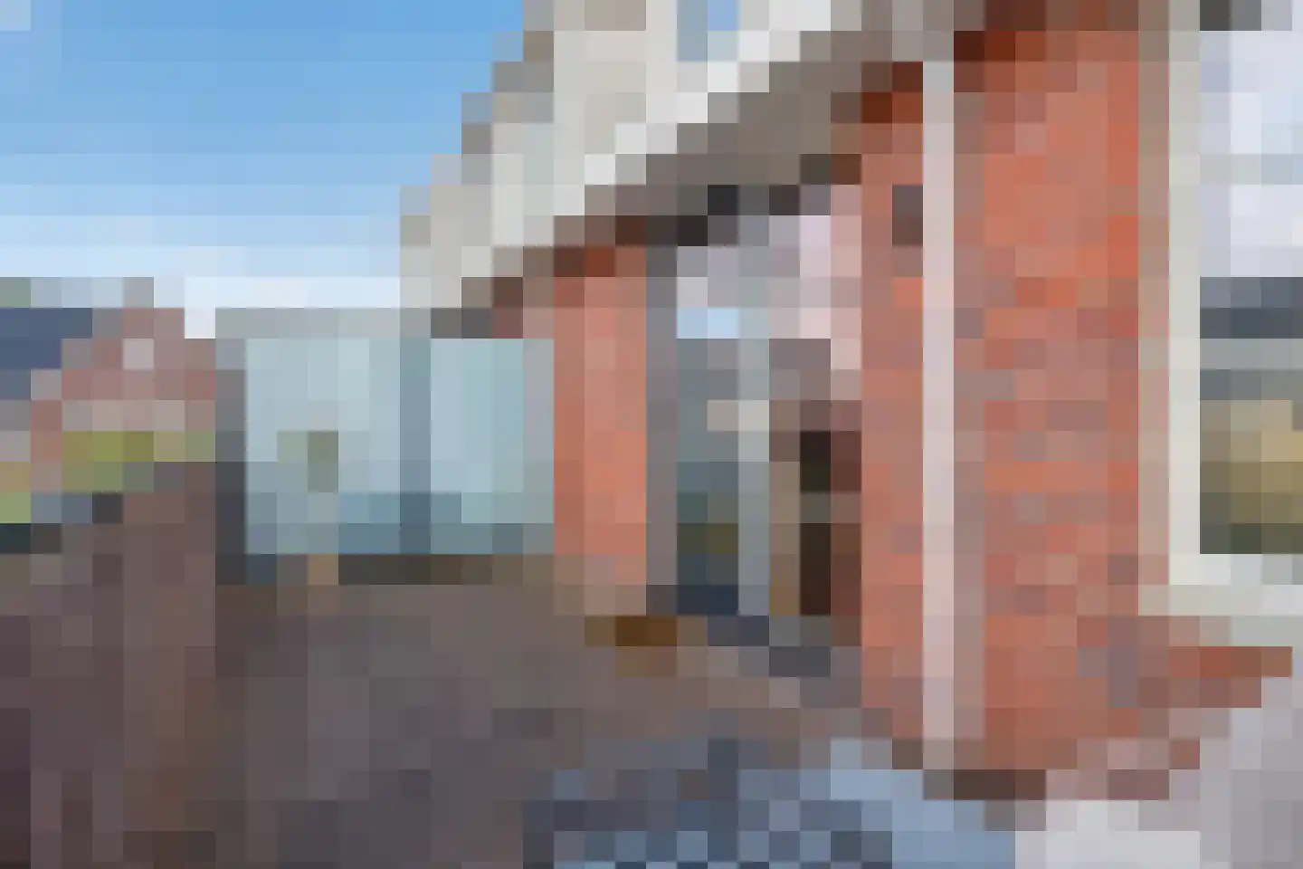 Zeuven Heuvels 21 Wezep thumbnail 26