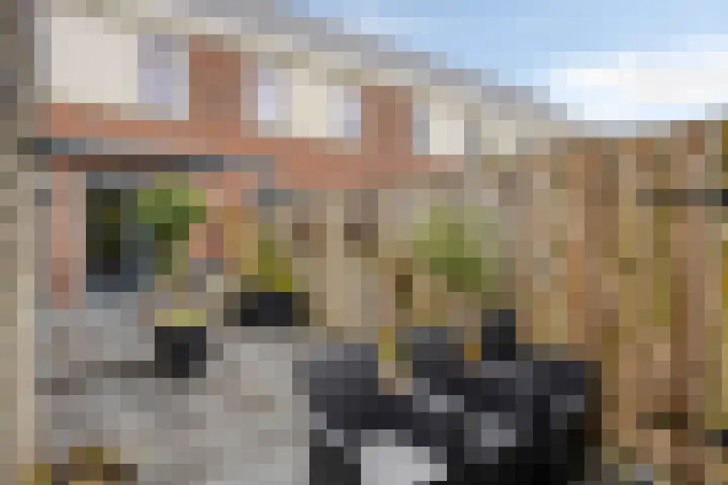 Zeuven Heuvels 36 Wezep thumbnail 30