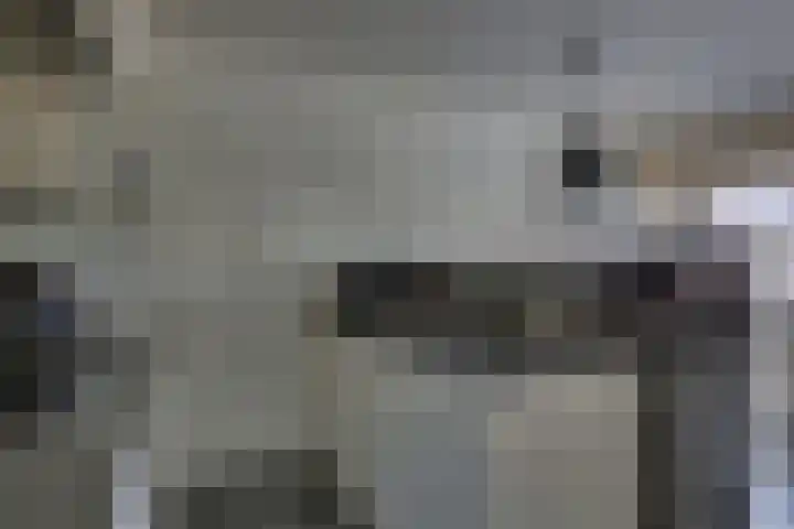 Zeven Bosjes 101 Almelo thumbnail 12