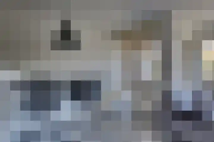 Zeven Bosjes 101 Almelo thumbnail 13