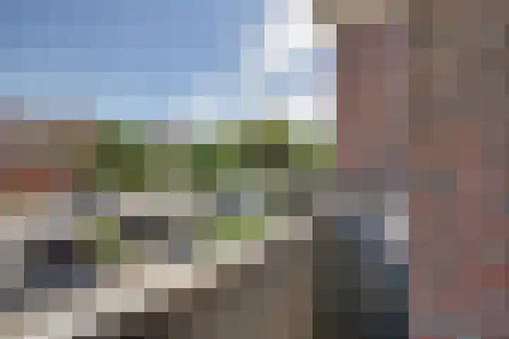 Zeven Bosjes 101 Almelo thumbnail 15