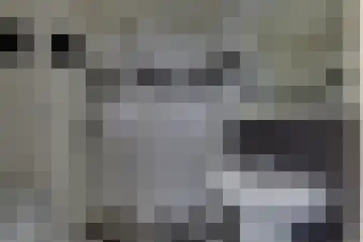 Zeven Bosjes 101 Almelo thumbnail 22