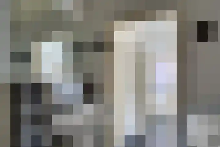 Zeven Bosjes 101 Almelo thumbnail 24