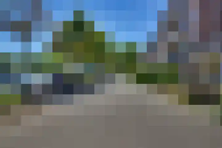 Zeven Bosjes 101 Almelo thumbnail 26