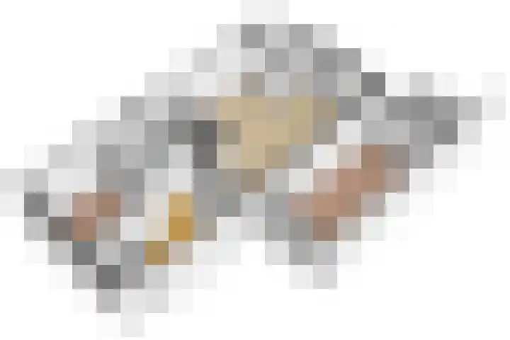 Zeven Bosjes 101 Almelo thumbnail 33