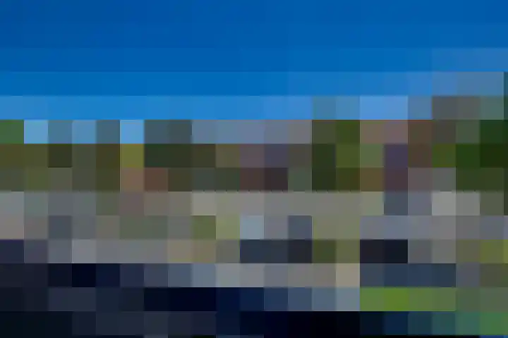 Zeven Bosjes 101 Almelo thumbnail 4