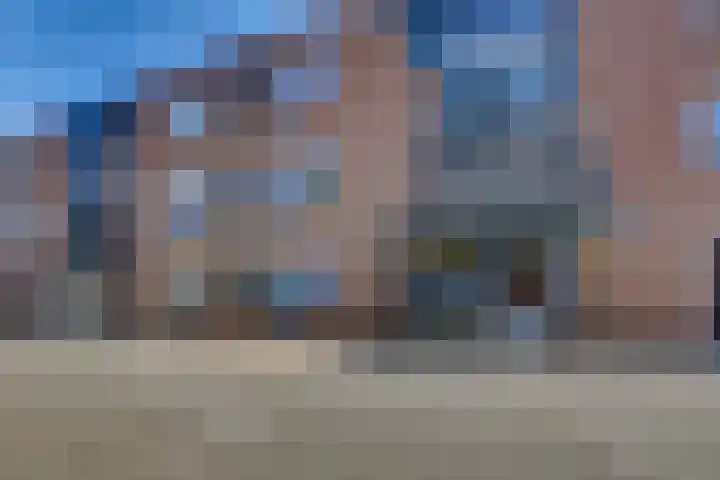 Zeven Bosjes 101 Almelo thumbnail 5