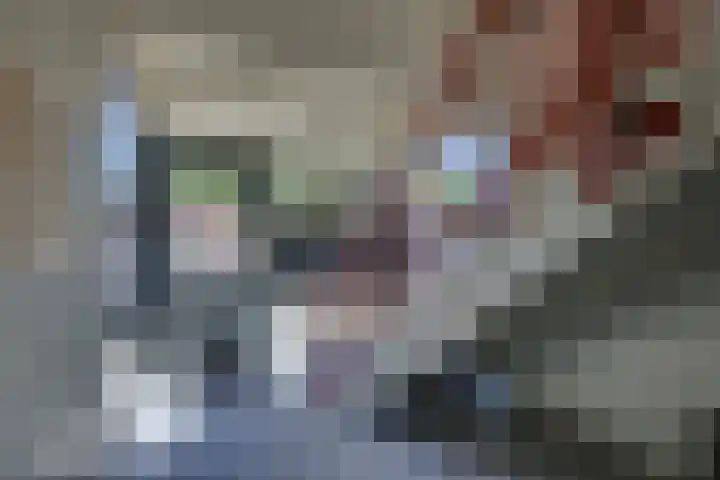 Zeven Bosjes 101 Almelo thumbnail 7