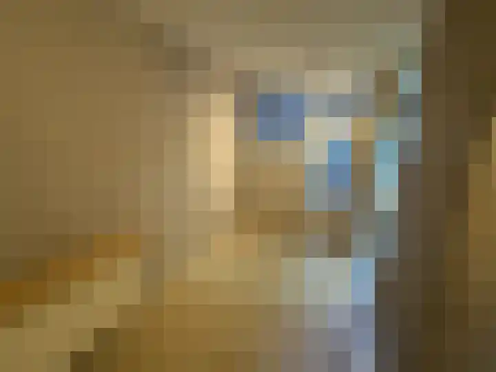 Zeven Bosjes 111 Almelo thumbnail 10