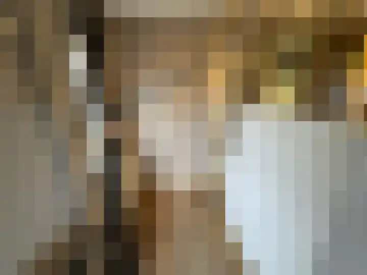 Zeven Bosjes 111 Almelo thumbnail 12