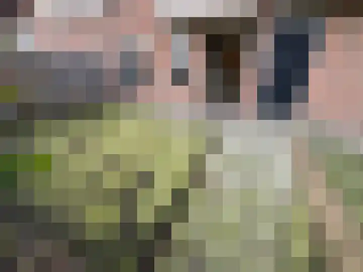 Zeven Bosjes 111 Almelo thumbnail 17