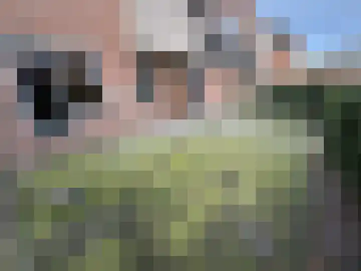 Zeven Bosjes 111 Almelo thumbnail 18
