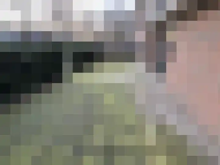 Zeven Bosjes 111 Almelo thumbnail 19