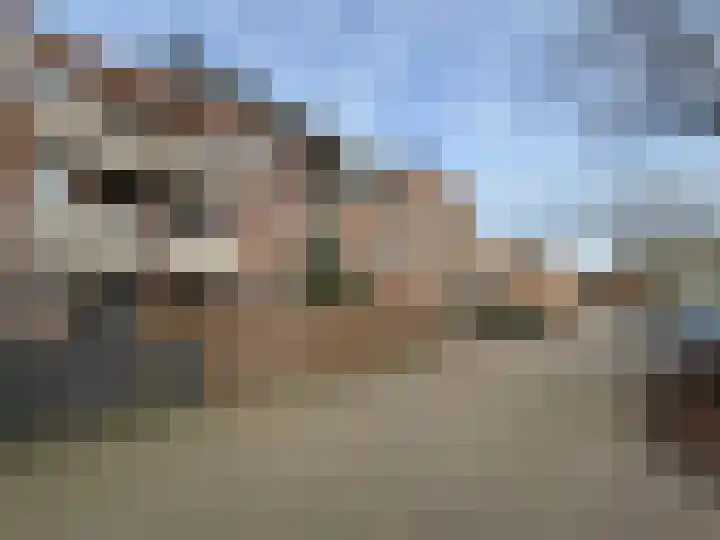 Zeven Bosjes 111 Almelo thumbnail 22