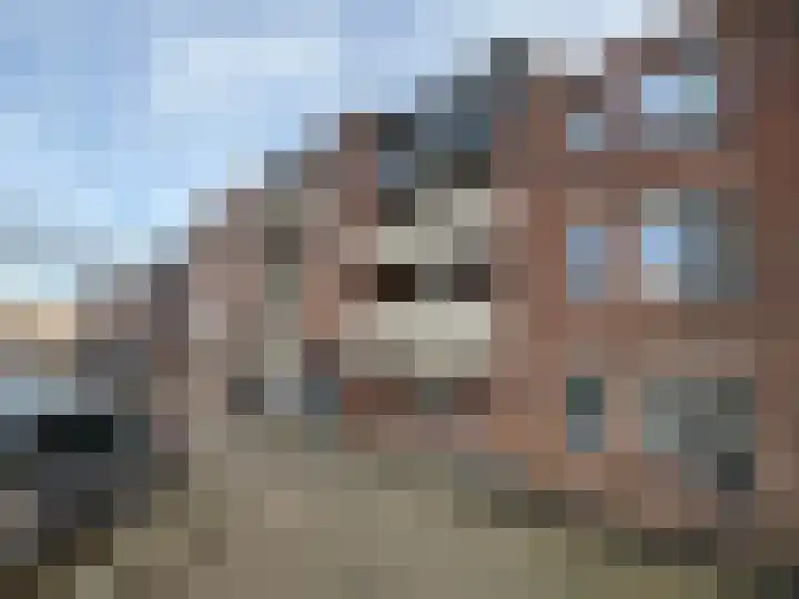 Zeven Bosjes 111 Almelo thumbnail 23