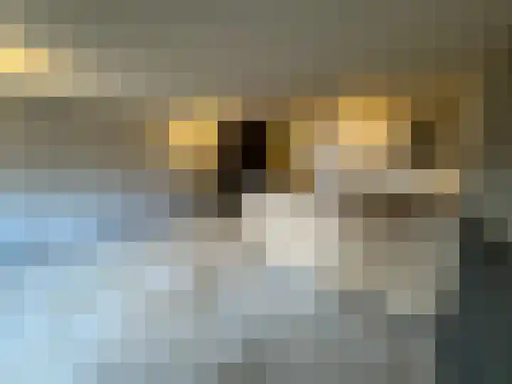 Zeven Bosjes 111 Almelo thumbnail 4