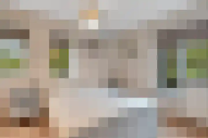 Zeven Bosjes 123 Almelo thumbnail 10